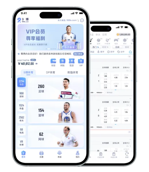 APP服务：移动端分类浏览与账户提醒